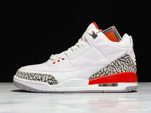 Hall Air 136064-116 Jordan of Retro Fame 3 0522